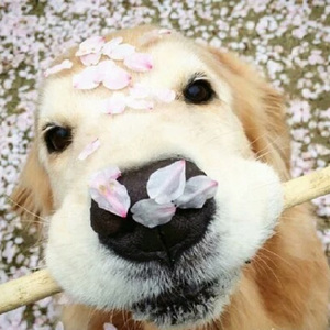 我在上面动很舒服在线观看
